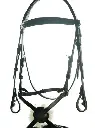 Dever Classic Comfort Padded Grackle Bridle