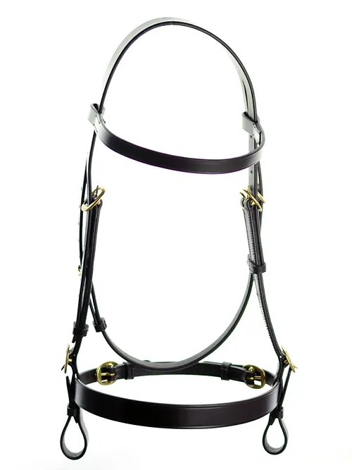 Dever Saddlery Classic In Hand Bridle 