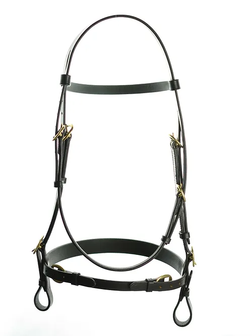 Dever Saddlery Classic In Hand Bridle 