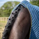 Thermatex Premium Quilted Cooler Rug 