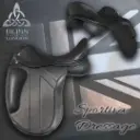 Bliss of London Sportiva Dressage Saddle