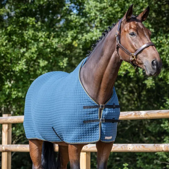 Thermatex Premium Quilted Cooler Rug 