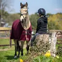 Thermatex Lightweight Cooler Rug 