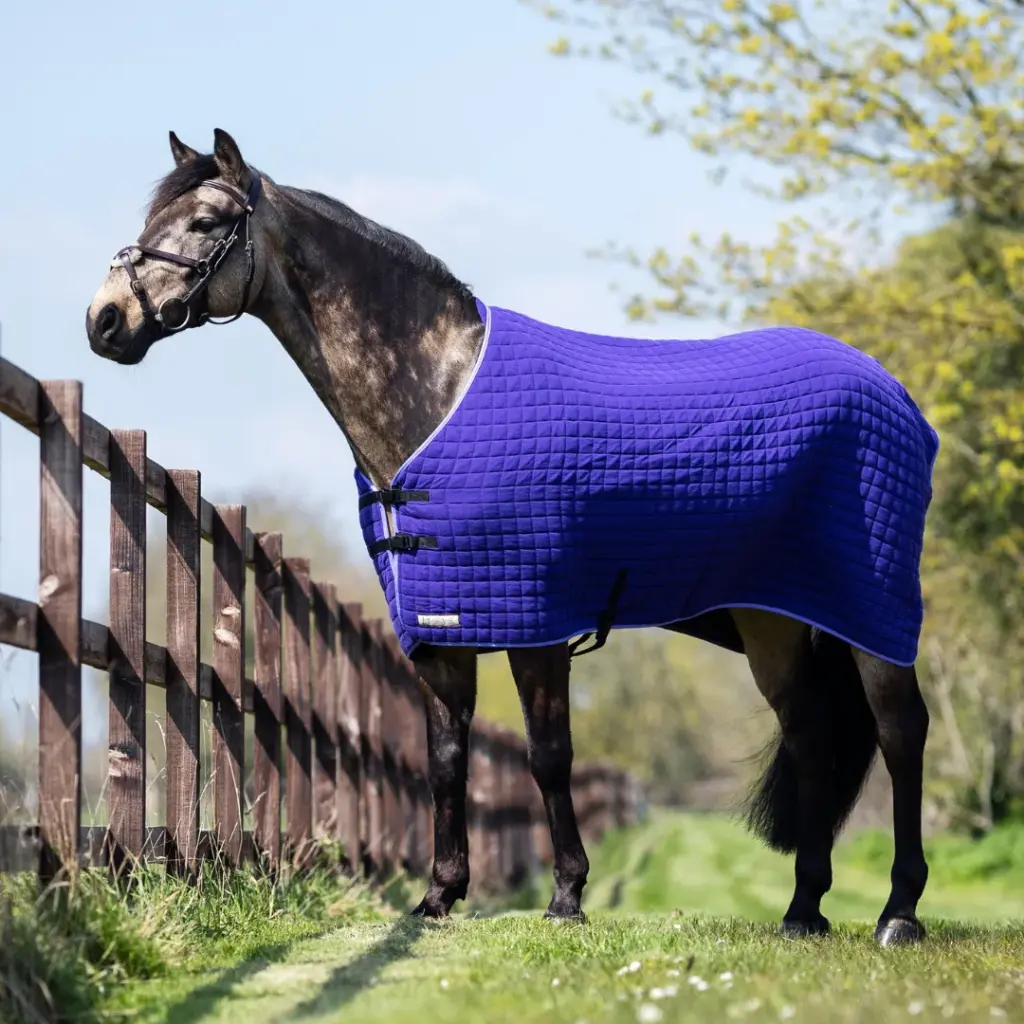 Thermatex Original Pony Cooler Rug 