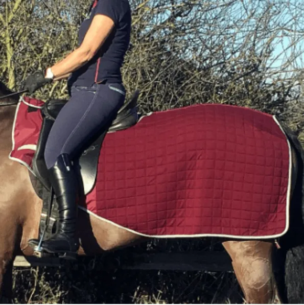 Thermatex Quilted Trainer Rug 