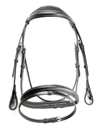 Dever Classic Comfort Padded Flash Bridle