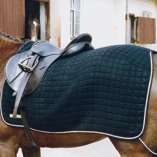 Thermatex Quilted Exercise Rug