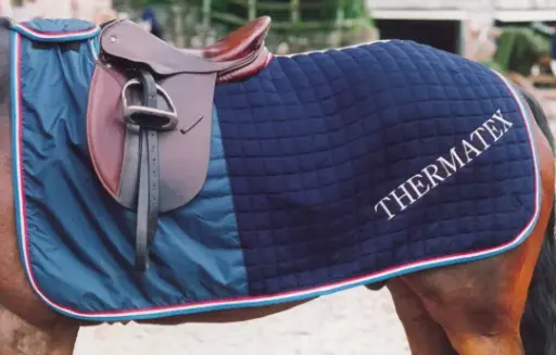 [NR] Thermatex Nordic Exercise Rug 