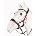 Bitless Bridles